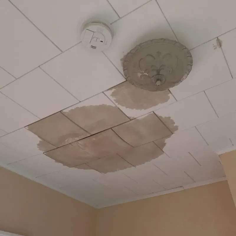 Ceiling Water Damage Repair in Lamb County, TX