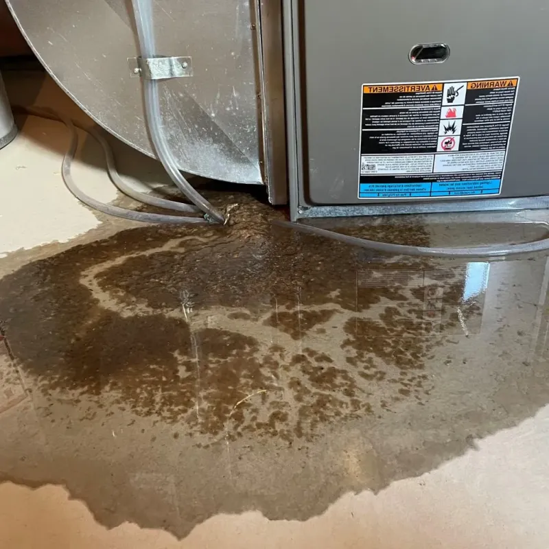 Pipe Burst and Leak Restoration in Lamb County, TX